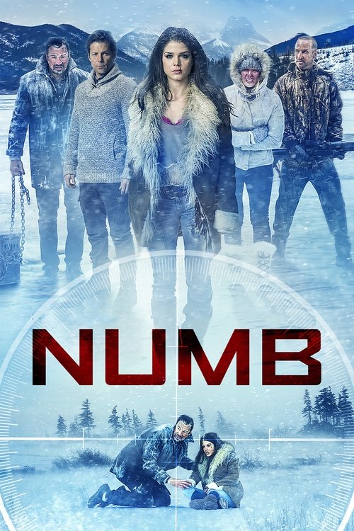 Póster de Numb