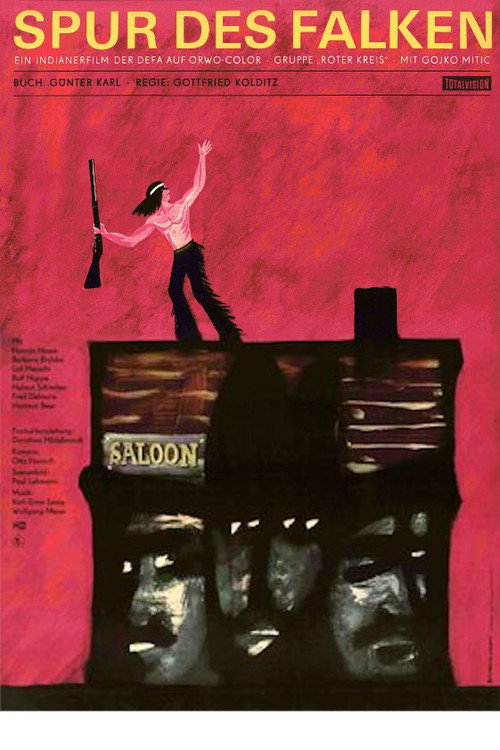Póster de Trail of the Falcon