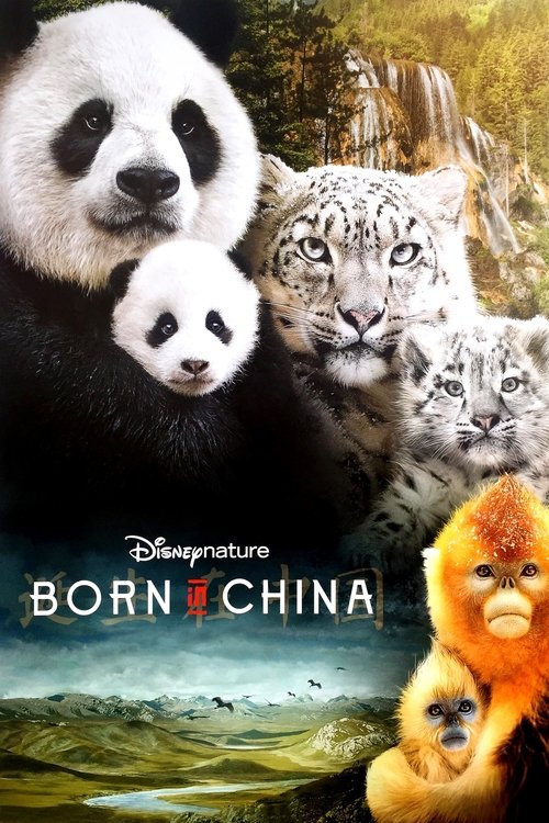 Póster de Nacidos en China