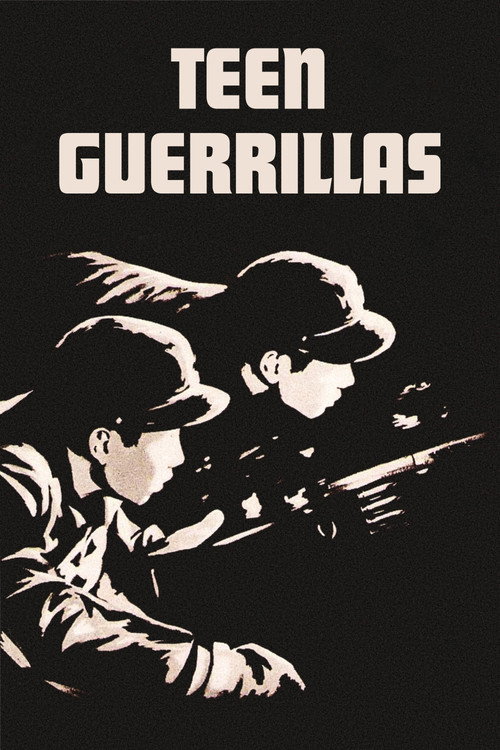 Póster de Teen Guerrillas
