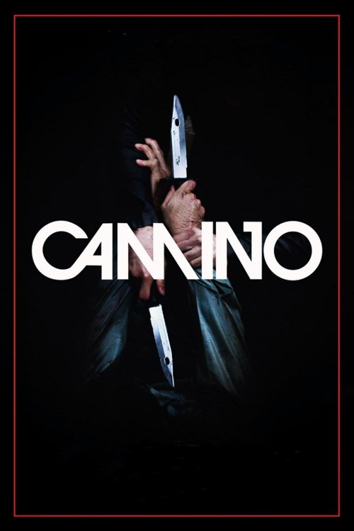 Póster de Camino