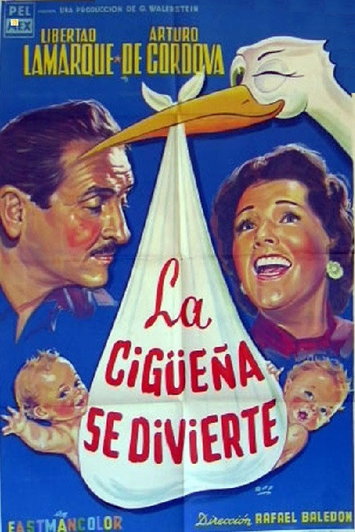 Póster de La cigüeña dijo sí