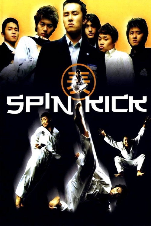 Póster de Spin Kick