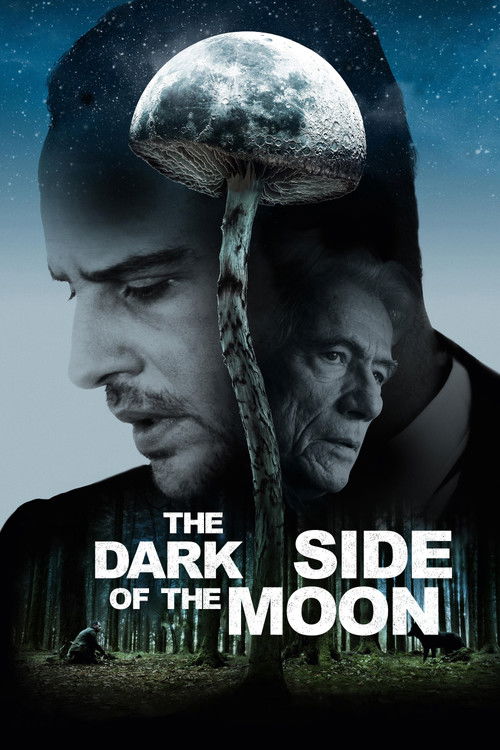 Póster de The Dark Side of the Moon