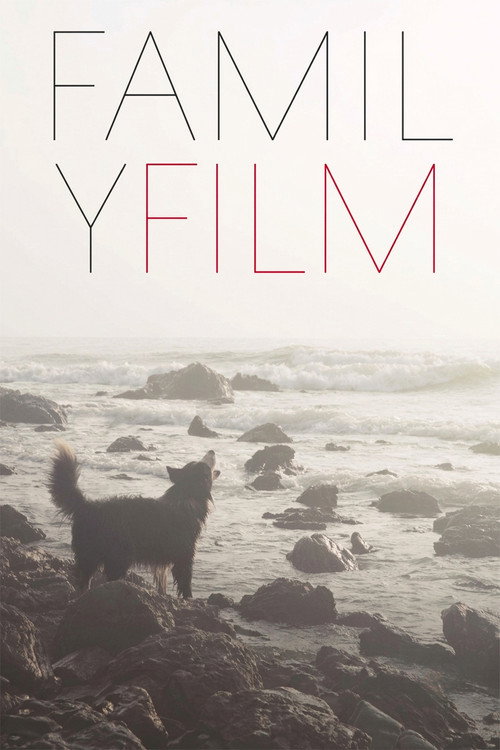 Póster de Family Film