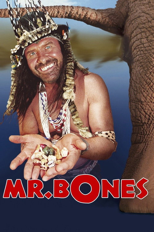 Póster de Mr. Bones
