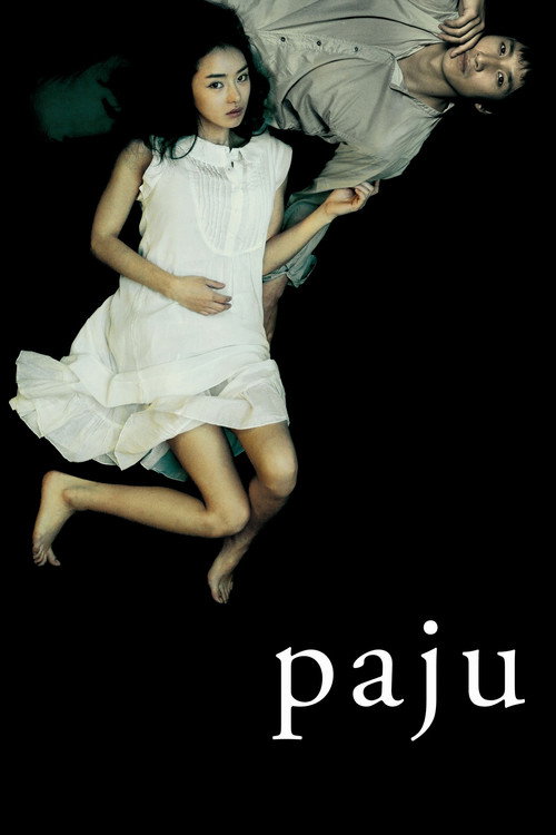 Póster de Paju