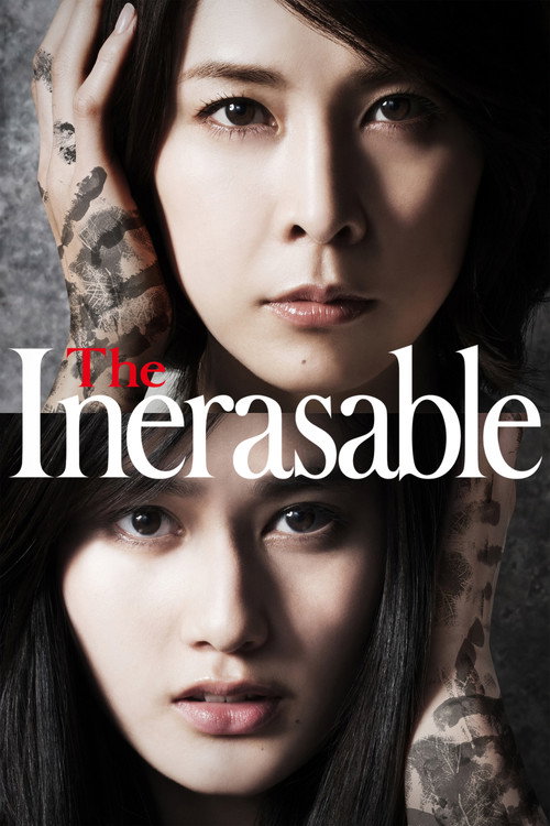 Póster de The Inerasable
