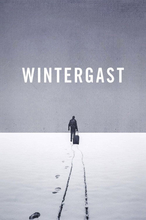 Póster de Wintergast