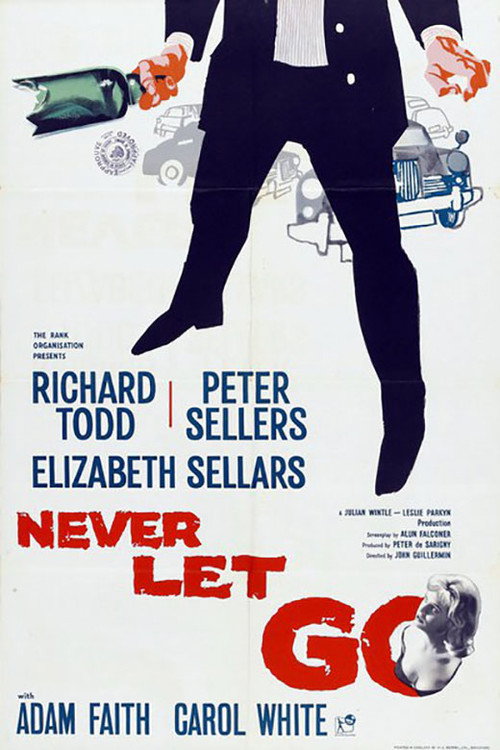 Póster de Never Let Go