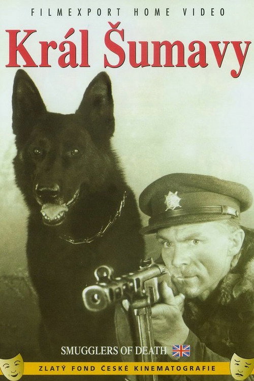 Póster de King of the Sumava