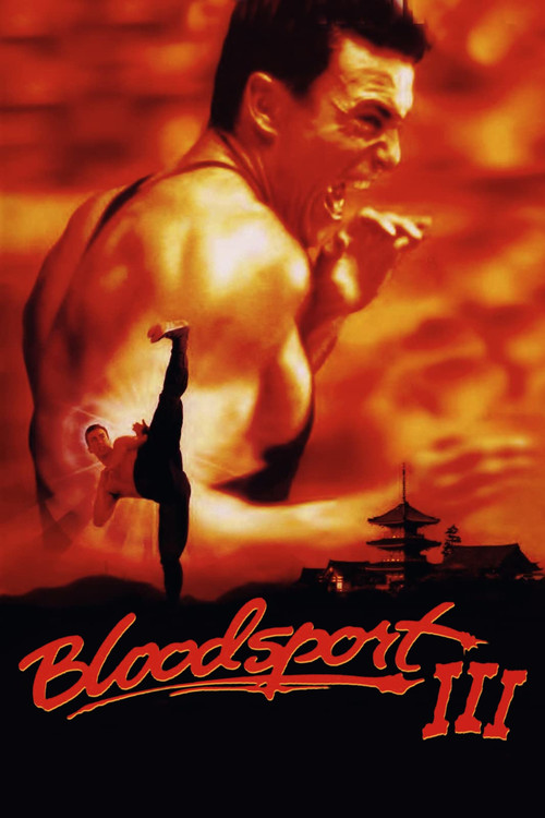 Póster de Bloodsport III