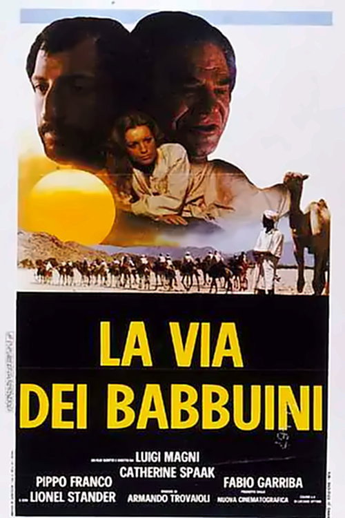 Póster de The Way of the Baboons
