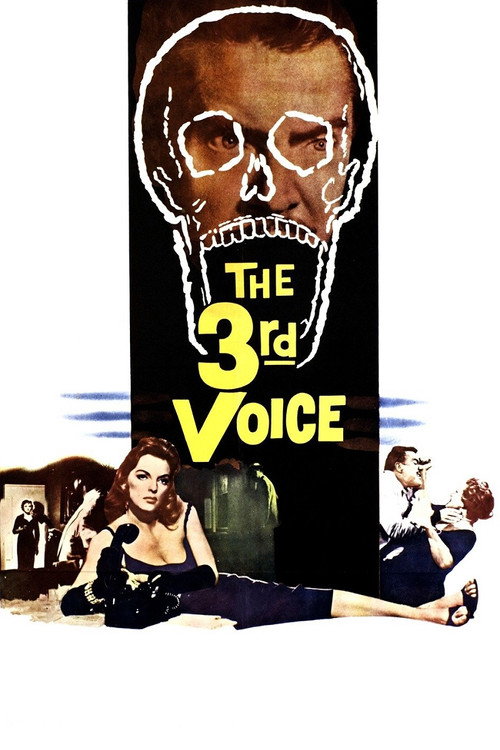 Póster de The 3rd Voice