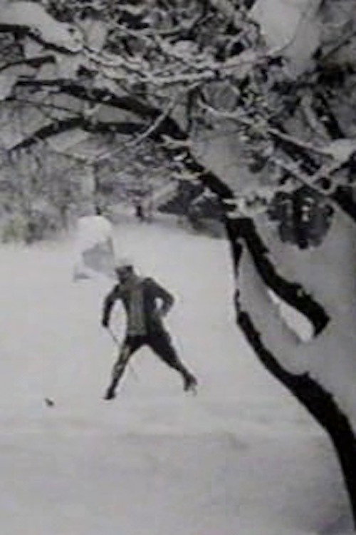 Póster de Max Skiing