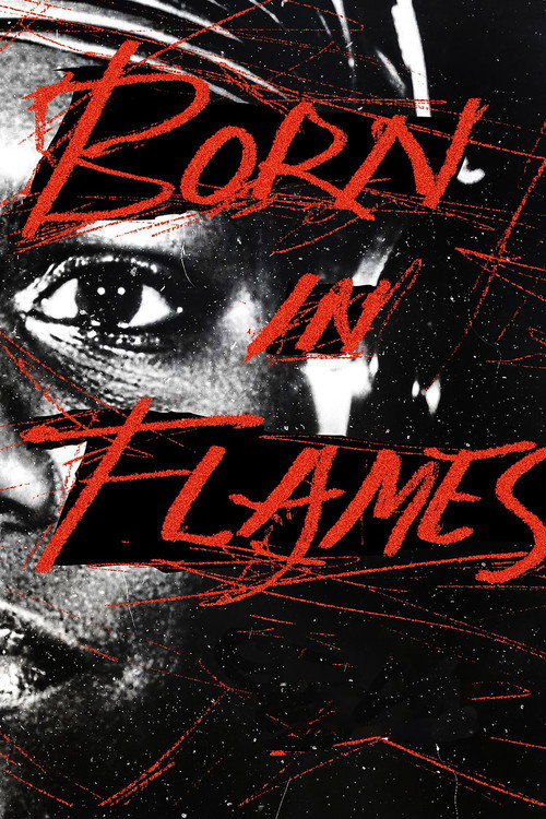 Póster de Born in Flames
