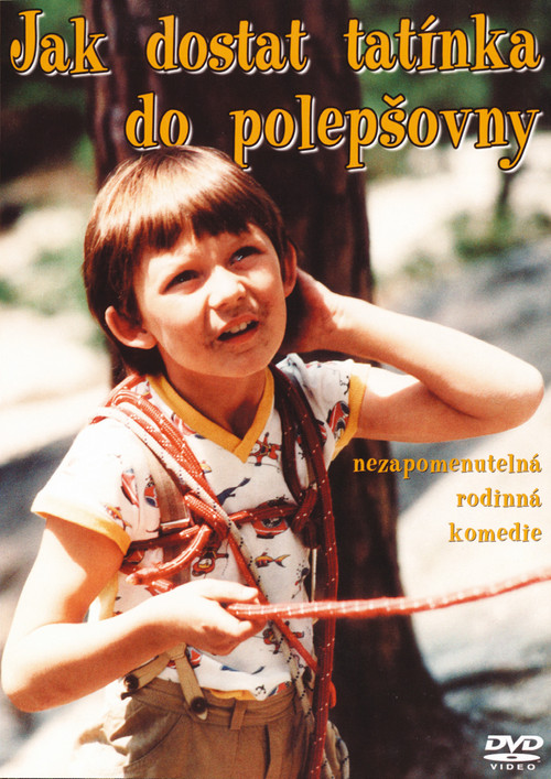 Póster de How to Get Daddy to Change