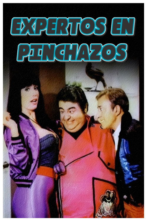 Póster de Expertos en pinchazos