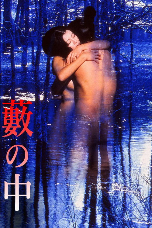 Póster de In a Thicket