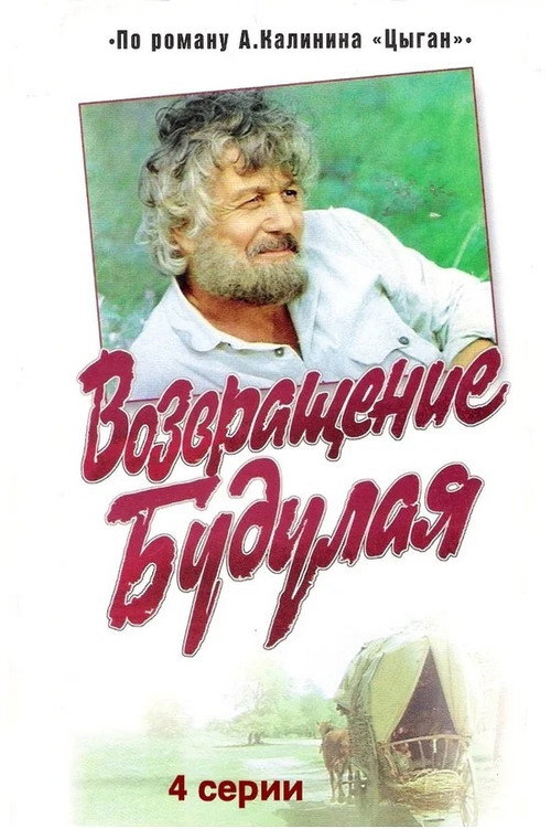 Póster de Return of Budulai
