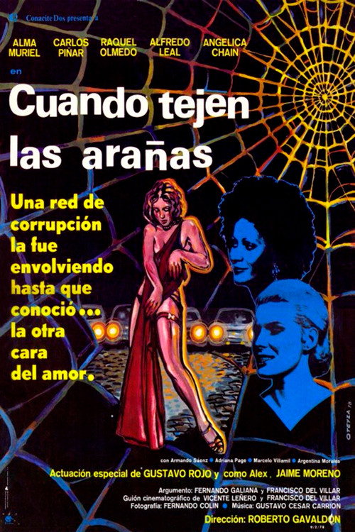 Póster de Cuando tejen las arañas