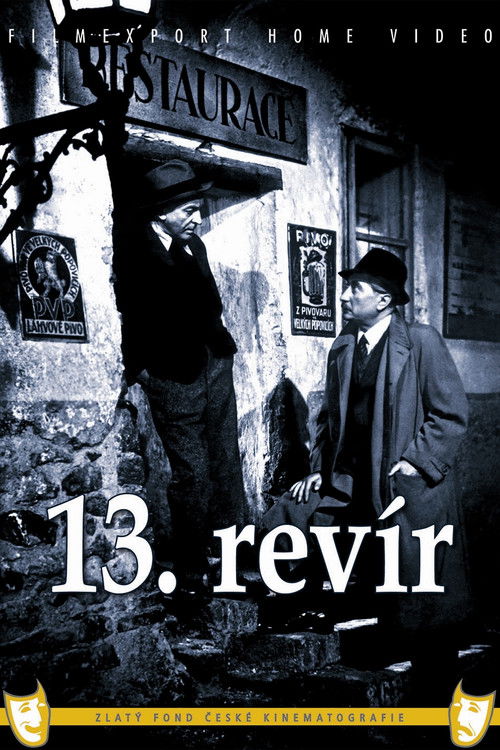 Póster de 13th district