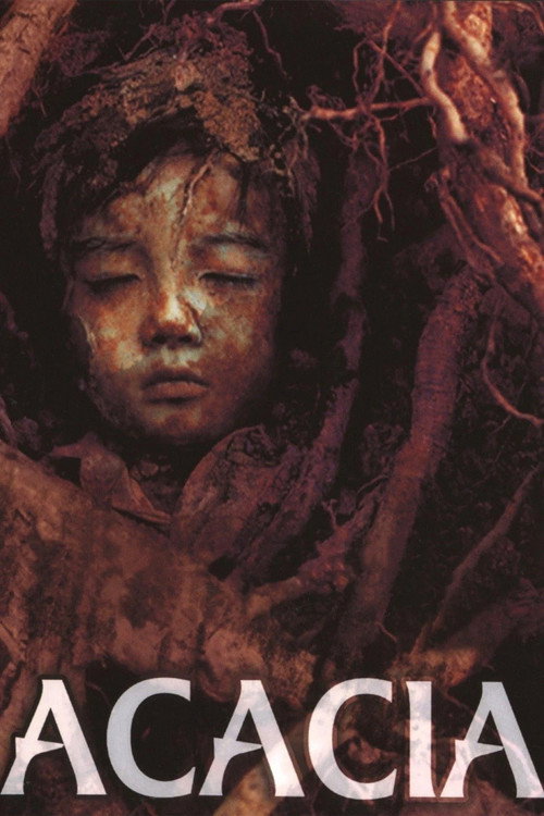 Póster de Acacia