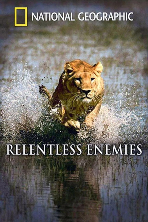 Póster de Relentless Enemies: Lions and Buffalo