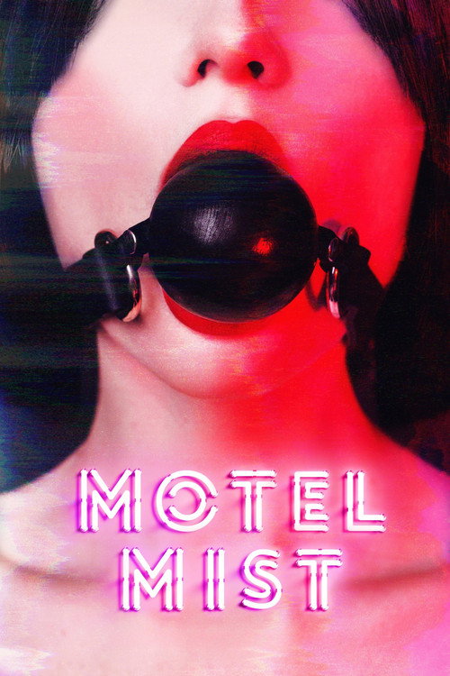 Póster de Motel Mist