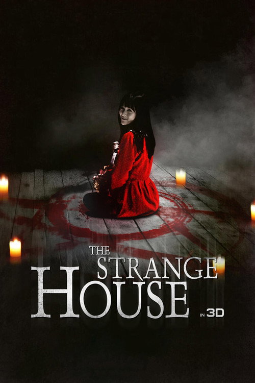 Póster de The Strange House