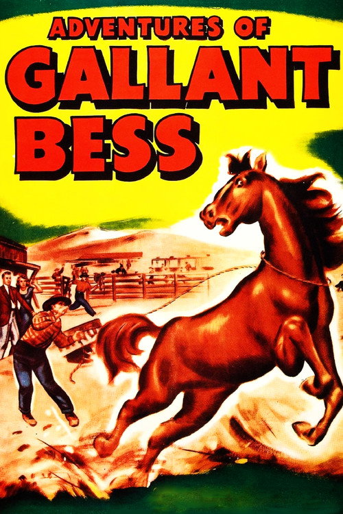 Póster de Adventures of Gallant Bess