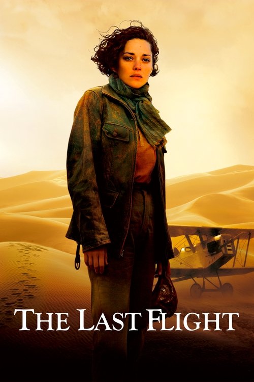 Póster de The Last Flight