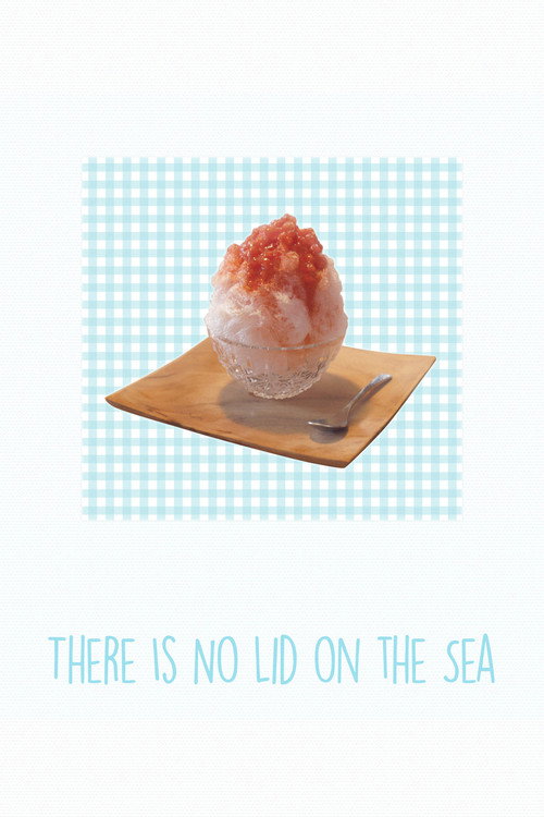 Póster de There Is No Lid on the Sea
