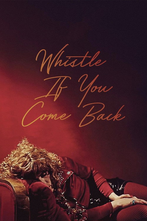 Póster de Whistle If You Come Back