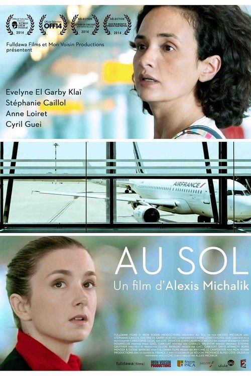 Póster de Grounded