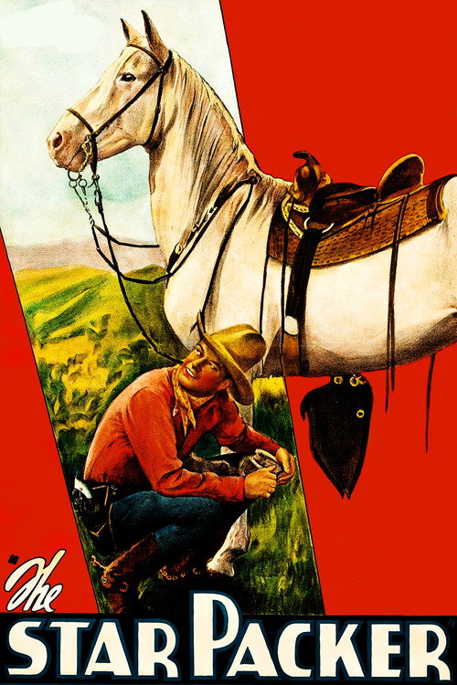 Póster de The Star Packer