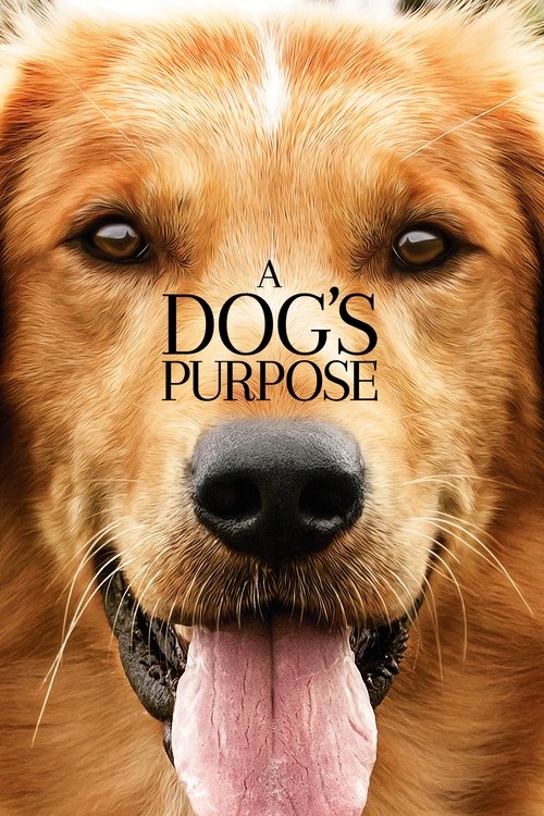 Póster de A Dog's Purpose