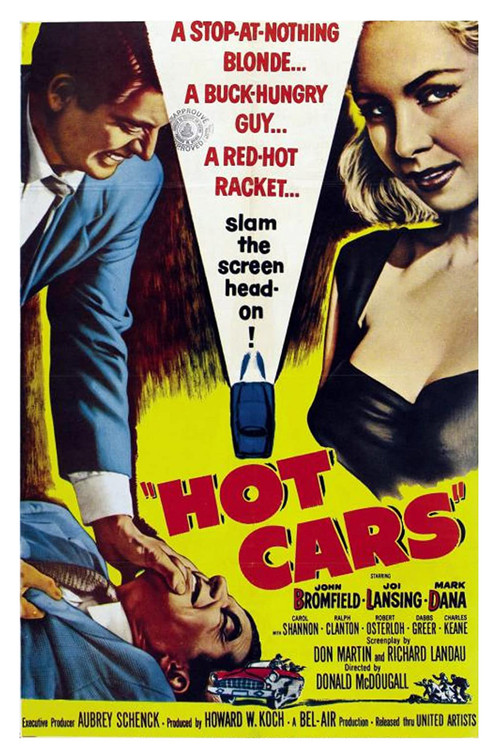 Locandina di Hot Cars