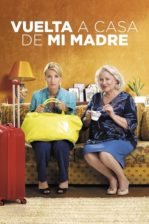Póster de Back to Mom's