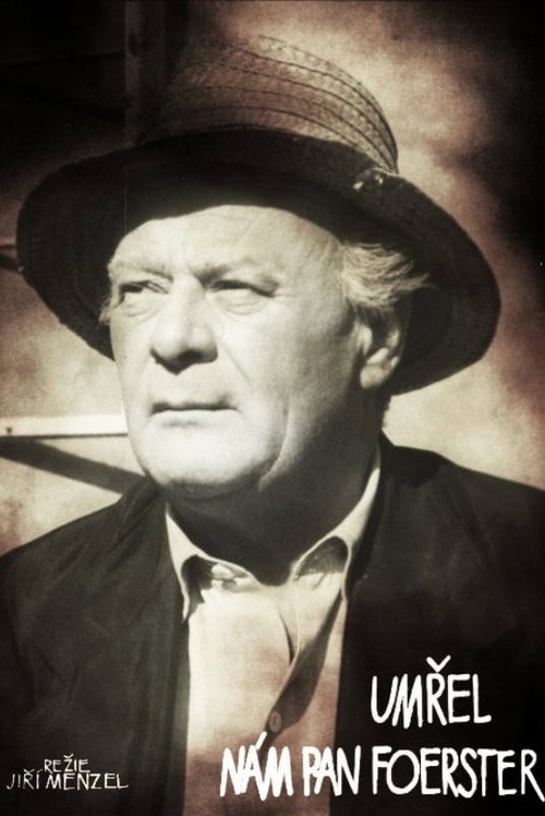 Póster de Our Dear Mr. Foerster Died