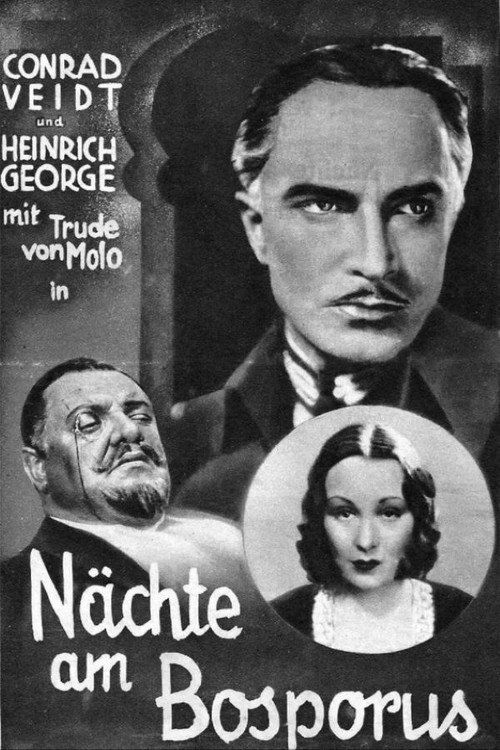 Póster de The Man Who Committed the Murder