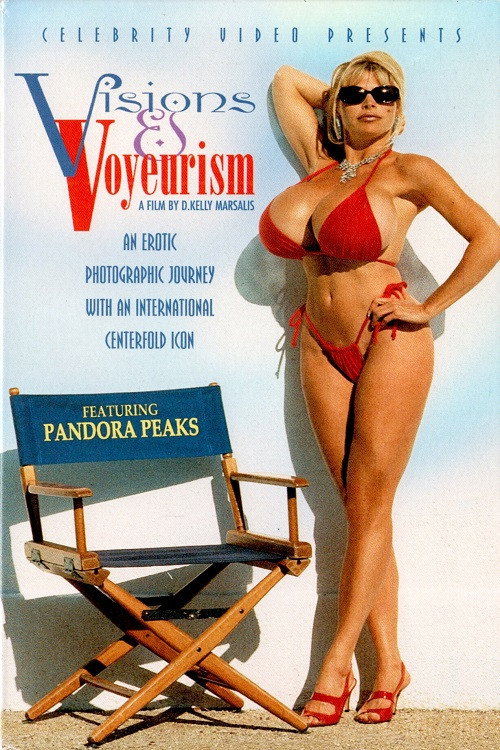 Póster de Visions and Voyeurism