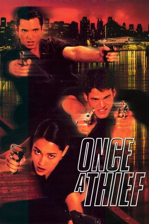 Póster de Once a Thief