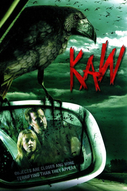 Póster de Kaw