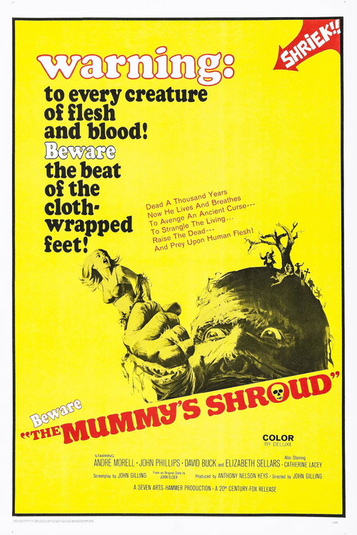 Póster de The Mummy's Shroud