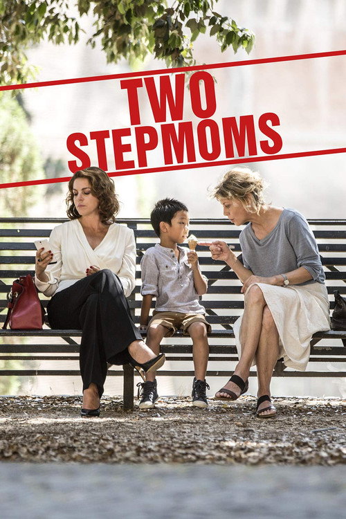 Póster de Two Stepmoms