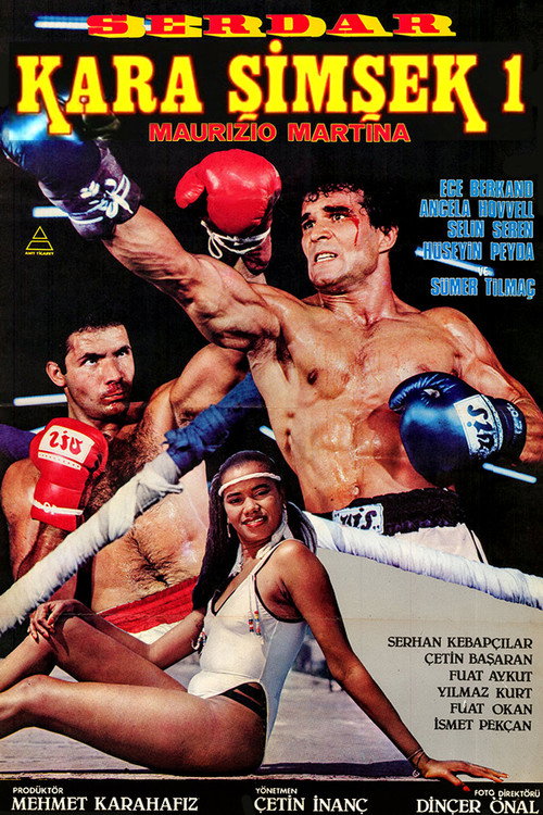 Póster de Kara Şimşek
