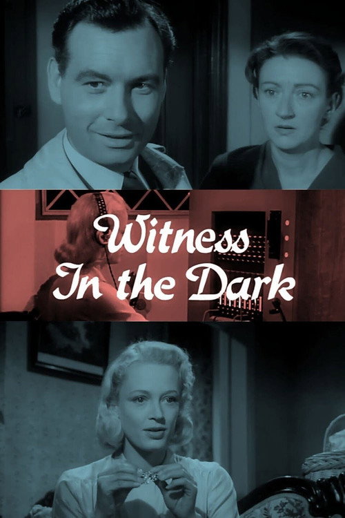 Póster de Witness in the Dark