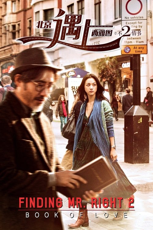 Póster de Finding Mr. Right 2