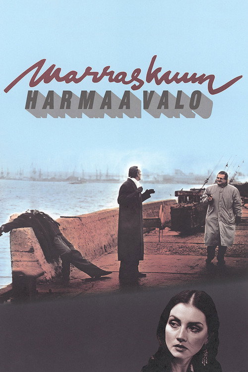 Póster de Marraskuun harmaa valo